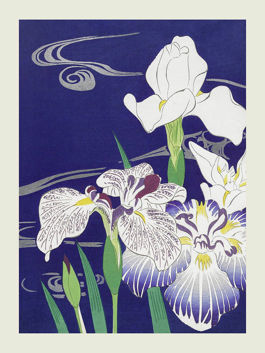 Kogyo Tsukioka - irises print
