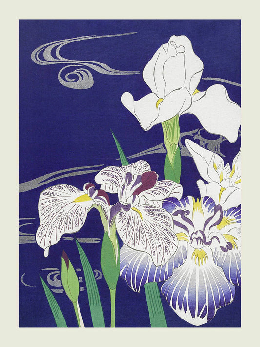Kogyo Tsukioka - irises print