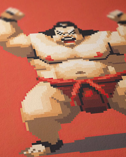 Pixel sumo