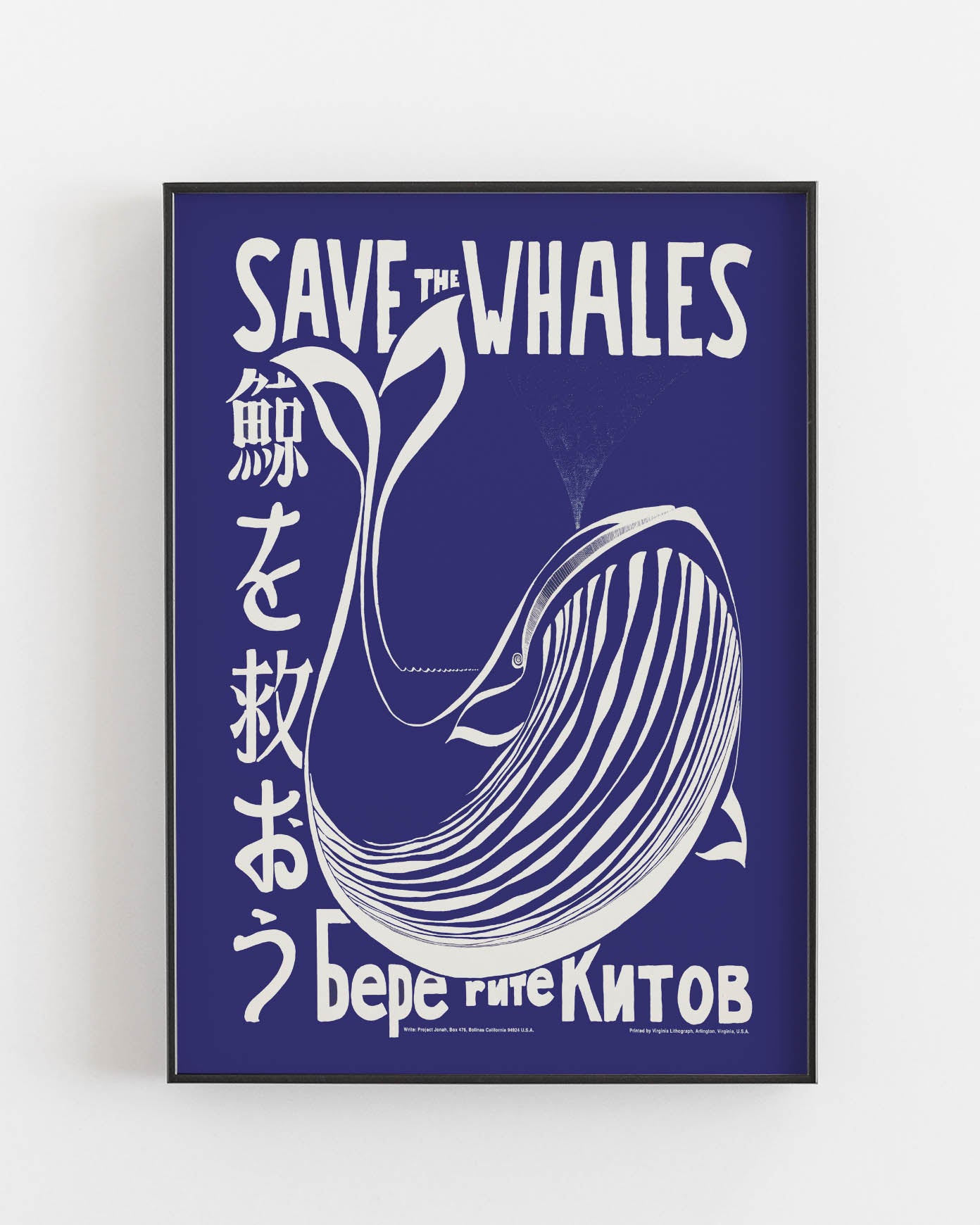 Save the whales poster