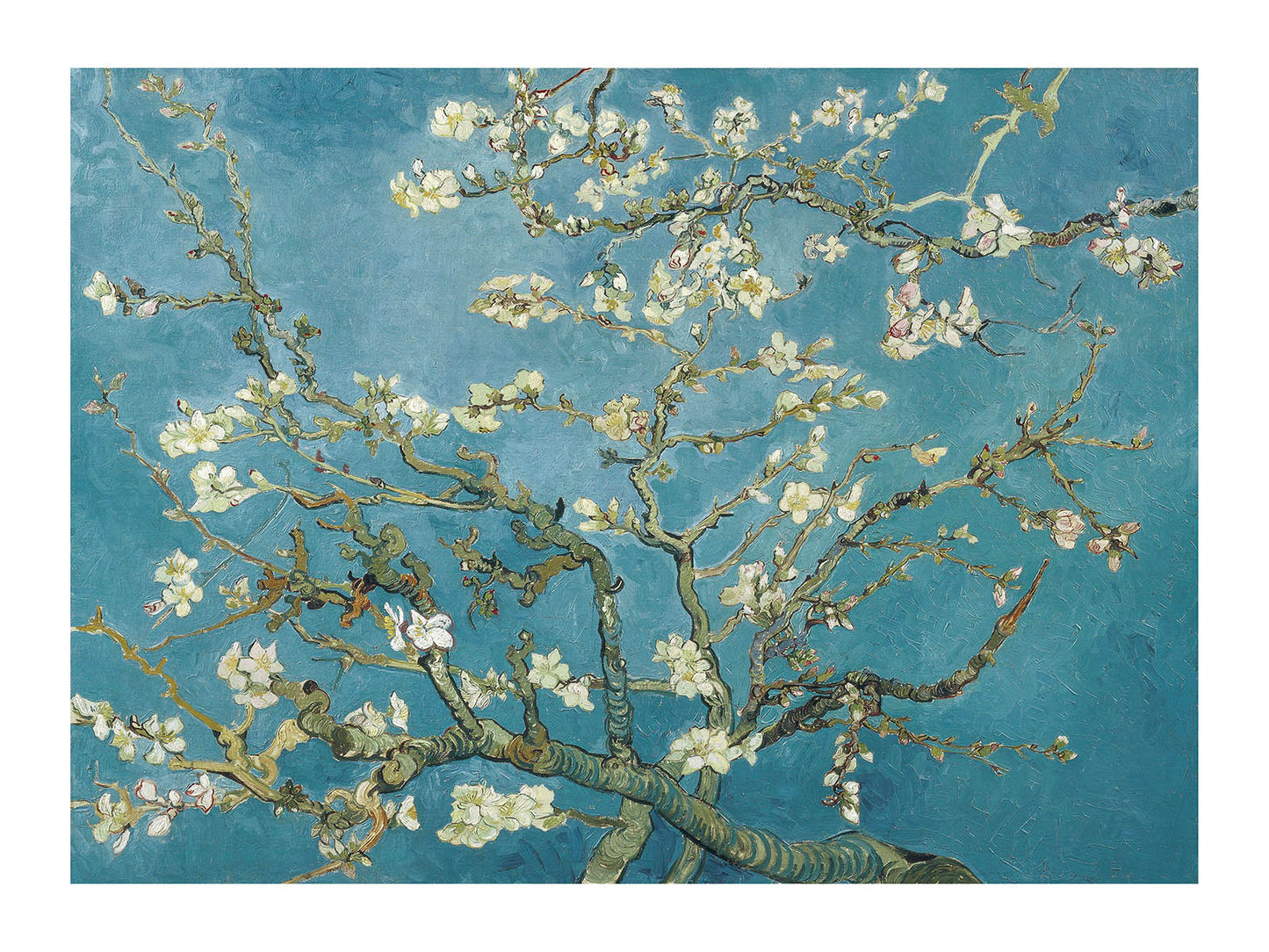 van gogh almond blossom poster